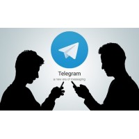 Теперь мы в TELEGRAM